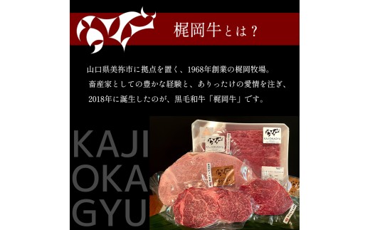 梶岡牛 ジャーキー【JERKY?NOT JERKY!!】 1袋 ｜ おつまみ ジャーキー 乾燥肉 珍味 おやつ A5 黒毛和牛 牛 うし 牛肉 ビーフ お肉 肉 セット 肉加工品 お取り寄せ グルメ 
