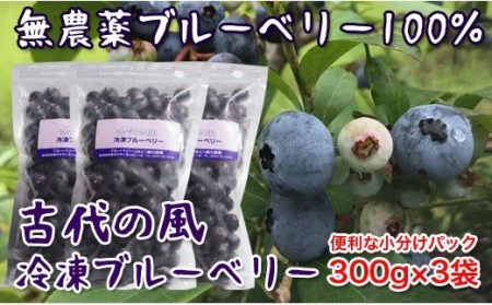 『古代の風』無農薬ブルーベリー900ｇ（冷凍）＜1-57＞
