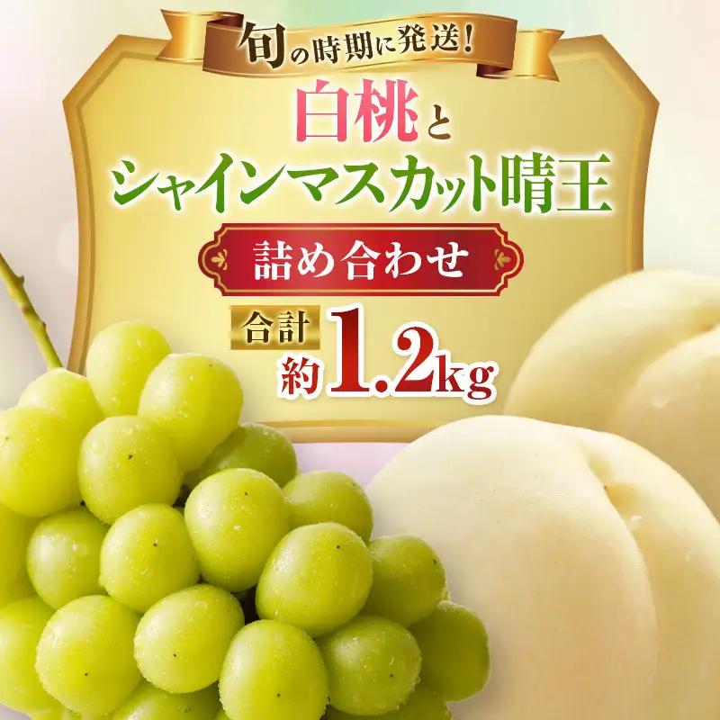 フルーツセット 白桃 シャインマスカット 岡山県産 フルーツセット【桃2玉 ぶどう1房 約1.2kg】【先行予約】