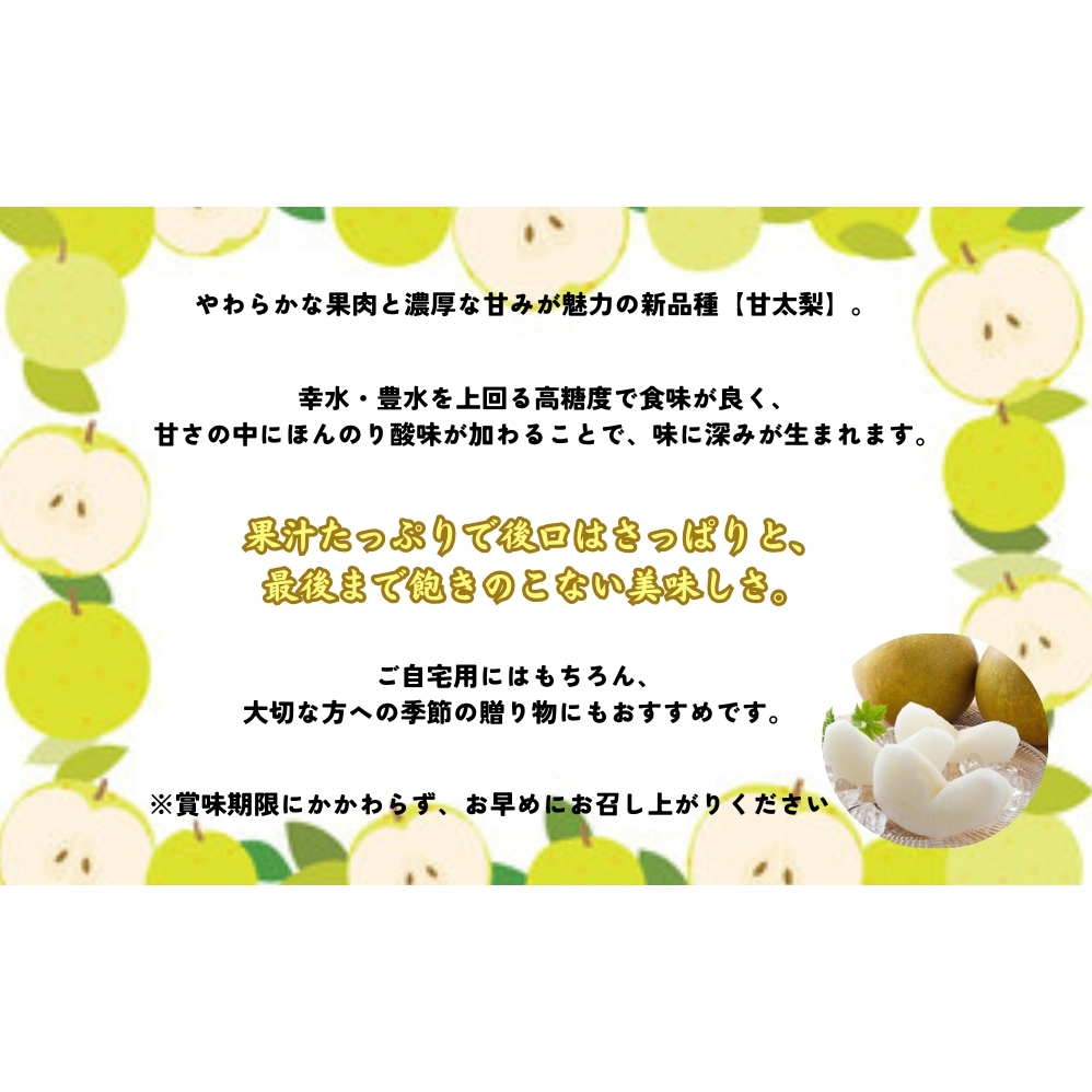 【予約受付中】【10月上旬～中旬より順次発送】【濱田農園】 甘太梨 約3kg 【数量限定】