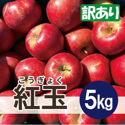 【ふるさと納税】【26年3月出荷予定】 紅玉 約5kg 訳あり【配送不可地域：離島・沖縄県】【1667980】