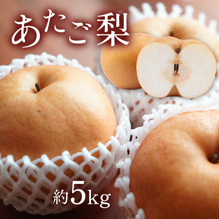 【ふるさと納税】 甘さと酸味と食感を楽しむ あたご梨 約5kg | ＜ 2026年11月頃より順次発送予定 ＞ あたご梨 愛宕梨 果物 フルーツ 梨 なし 和梨 冬梨 大玉 大きい 5kg 旬 山口県 美祢市 期間限定 先行予約