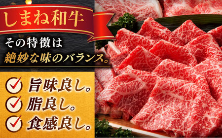 しまね和牛サイコロステーキ【訳あり】 600g 有限会社宮本食肉店 [ALCV003] サイコロステーキ