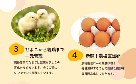綾川のたまご（10個入り）6パック入り 食品 栄養 自然 澄んだ空気 きれいな水 ビタミンE 豊富 飼料 健康 生鮮食品 