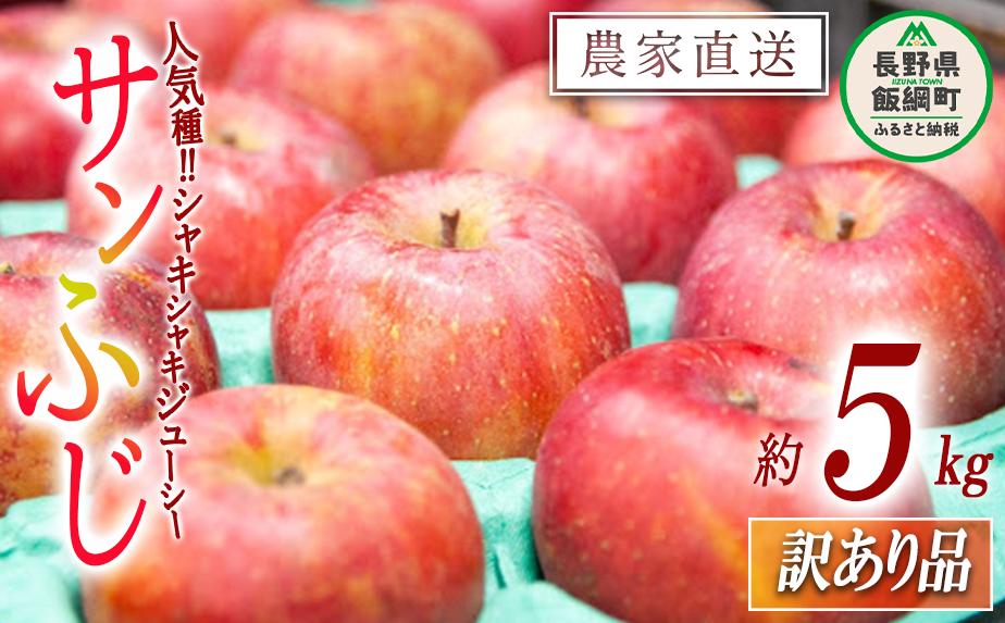 【 年明け発送 】 りんご サンふじ 訳あり 5kg 永野農園 沖縄