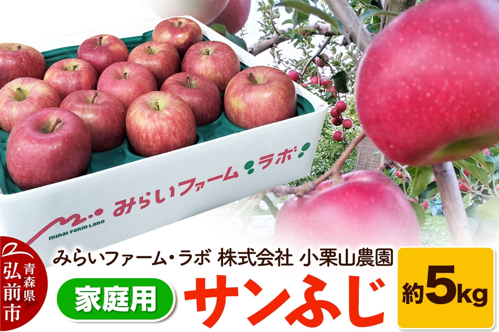 
            りんご【家庭用】サンふじ 約5kg
          