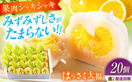 【全3回定期便】お菓子 はっさく大福20個入  お菓子 大福 八朔 柑橘 みかん オレンジ 餅 ギフト お取り寄せ スイーツ フルーツ大福 ご当地 菓子 おかし デザート 食品 人気 おすすめ 果汁 広島県産 特産品 産地直送 お取り寄せ 贈り物 ギフト 贈答品 絶品 和菓子 定期便 国産 白あん 個包装 逸品 定期便 福山スイーツ 広島県福山市/株式会社虎屋本舗[BADH030]