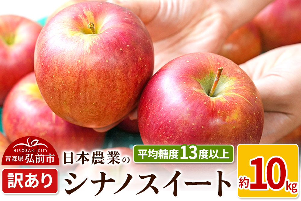 りんご 【先行受付】平均糖度13度以上！ シナノスイート 約10kg 訳あり