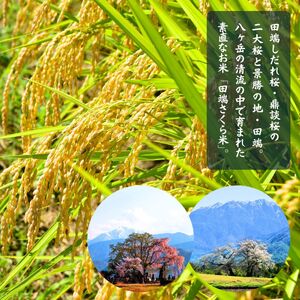 田端さくら米 5kg こしひかり