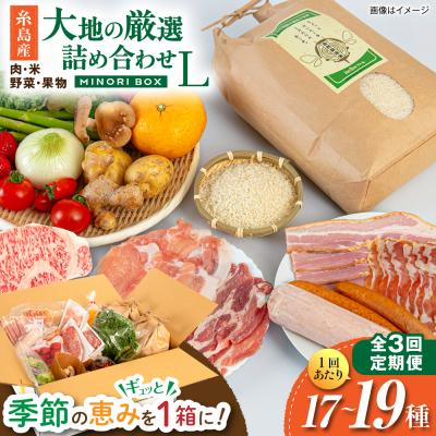 ふるさと納税 糸島市 全3回定期便 糸島産 肉 米 野菜 果物 厳選詰め合わせ MINORI BOX L [AOP016]