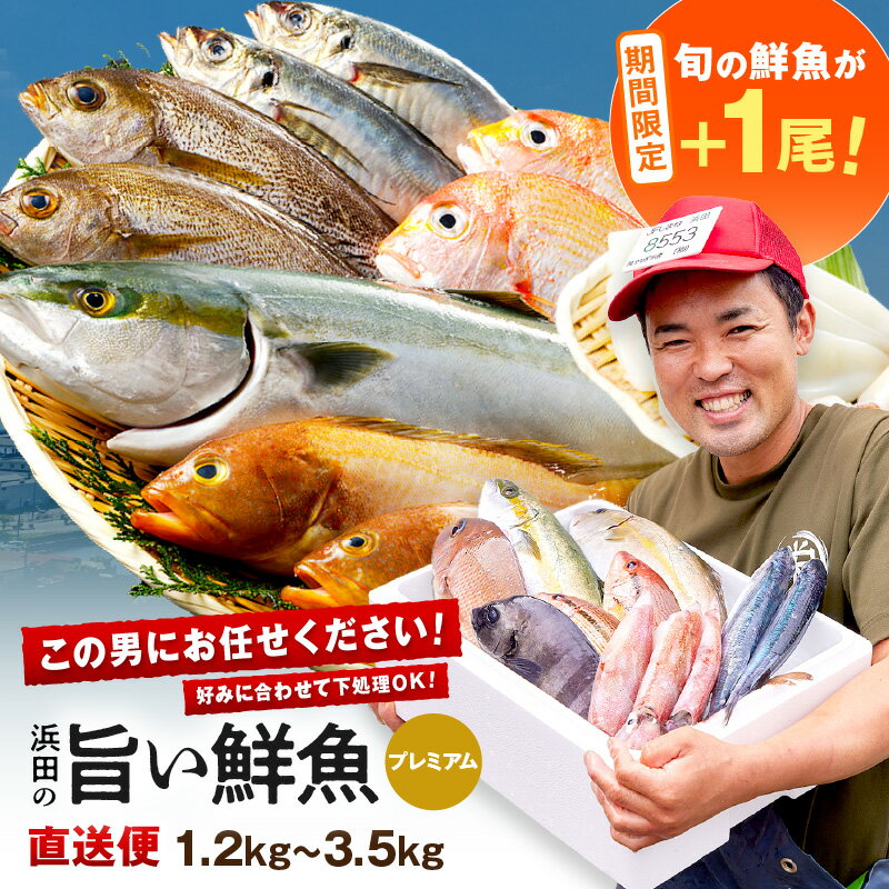 【ふるさと納税】【期間限定特集】 浜田のプレミアム鮮魚～この男シリーズ～ ＋旬の鮮魚1匹 海鮮 鮮魚 詰め合わせ セット おまかせ 人気 お取り寄せ 【006_2059】