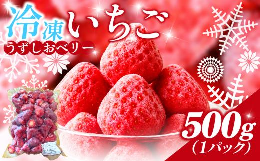 冷凍 いちご 苺 1パック 500g うずしおベリー 冷凍イチゴ イチゴ 果物 ストロベリー フルーツ デザート 氷菓 スイーツ アイス スムージー 旬 新鮮 季節 冬 人気 ケーキ おすすめ ギフト プレゼント 送料無料 徳島