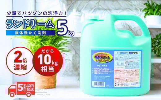 【選べる数量】濃縮洗濯洗剤 ランドリーム 5kg (5kg×1個) 業務用 詰め替え | 濃縮洗剤 洗濯 洗剤 液体 洗濯用洗剤 洗濯用 環境配慮 詰替え 詰め替え用 大容量 衣類洗剤 衣類用洗剤 液体洗剤 業務用洗剤 日常品 洗浄 エコ洗剤 泡切れが良い ランドリー 柔軟剤 店舗用 エコ すすぎ１回 節水 節約 茨城県 龍ケ崎市