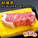 【ふるさと納税】松阪牛ワンポンドステーキ(サーロインステーキ ) 450g 松阪牛 松坂牛 牛肉 ブランド牛 高級 和牛 日本三大和牛 国産 霜降り 赤身 赤身肉 サーロイン ステーキ肉 ロース ロースステーキ 冷凍 キャンプ アウトドア BBQ バーベキュー 冷凍