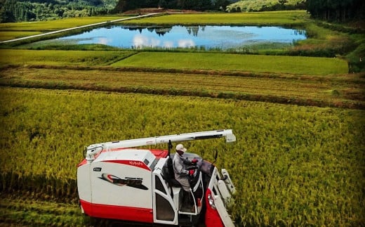 【新米受付・令和7年産米】有機栽培米コシヒカリ 白米1.2kg （300g×4袋）＋ 有機栽培米コシヒカリのパックごはん(150g×4個)セット 計1.8kg 新潟県岩船産 1067083N