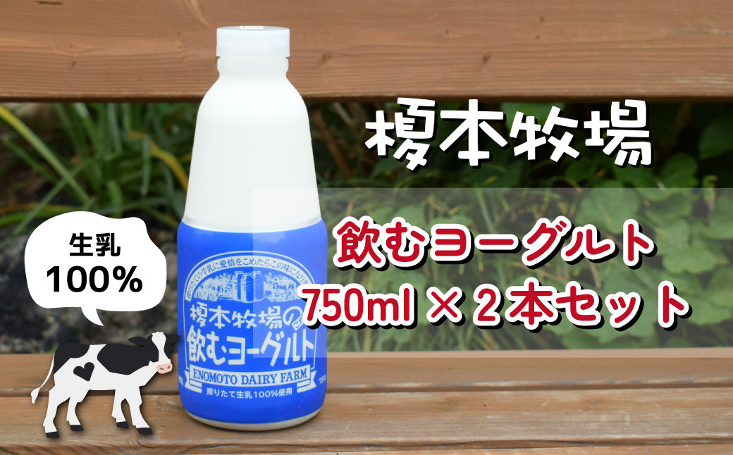 
            榎本牧場 飲むヨーグルト750ml×2本セット | 埼玉県 上尾市 飲むヨーグルト 乳製品 生乳100% おやつ 朝食 ヨーグルトセット 乳製品セット ヘルシー デザート スイーツ ギフト 国産 新鮮 無添加 搾りたて こだわり生乳 健康
          