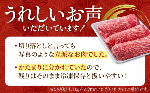 圧倒的リピート率！佐賀県産 黒毛和牛 贅沢切り落とし 500g 1パック 【株式会社いろは精肉店】 [IAG001]