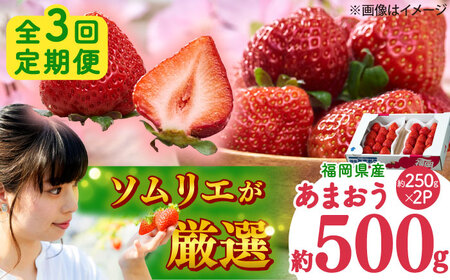 【全3回定期便】福岡産 冬あまおう 250g×2P 吉富町/南国フルーツ株式会社[BGAG041]