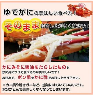 93．【先行予約】鳥取県産　タグ付き浜茹で松葉がに　1.2ｋｇ以上×1枚