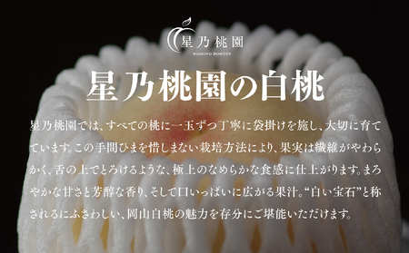 【星乃白桃】岡山県産 三つ星 セレクト白桃 1.2kg (4～5玉)【配送不可地域：離島】【1614276】