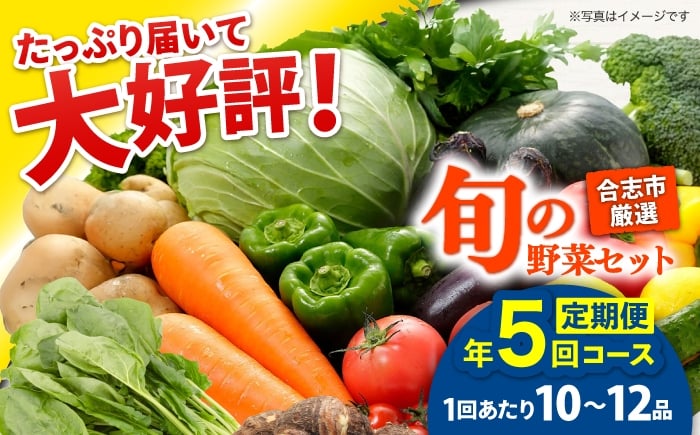 
            【年5回コース定期便】合志の旬のお野菜10〜12品目【一般社団法人クラッシーノこうし】 野菜 旬 季節 詰合せ 国産 合志市 おまかせ 詰め合わせ 産地 直送 春野菜 夏野菜 秋野菜 冷蔵 根菜 果物 葉物 産地直送 合志 熊本県 熊本 くまもと セット お野菜 ほうれん草 小松菜 ミニトマト さといも さつまいも なす ピーマン しょうが 大根 レタス キャベツ [AYAB020]
          