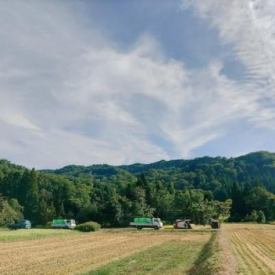 ふるさと納税 小国町 山形県小国町産　雪若丸 精米　5kg |  | 01