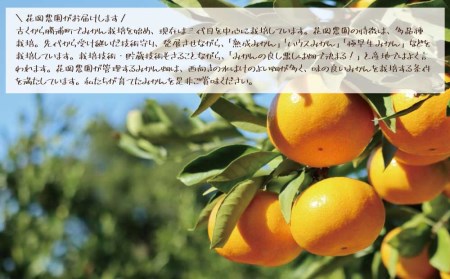 花岡農園 熟成みかん 秀品 S-LLサイズ 5kg