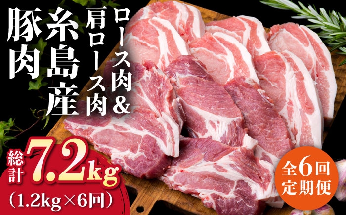 
                  【全6回定期便】糸島産豚ロース肉6枚 肩ロースカツ5枚 合計11枚セット《糸島》【糸島ミートデリ工房】 [ACA230]
                