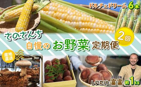 野菜【 全2回 定期便 】 野菜 とうもろこし しいたけ JGAP 先行予約
