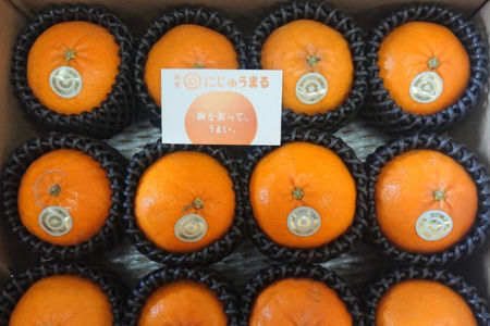 佐賀みかん にじゅうまる：B340-002