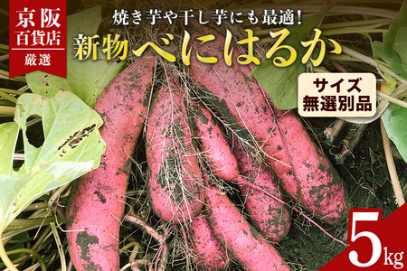 【京阪百貨店厳選】茨城県産べにはるか 5kg（新物）[サイズ無選別品] 芋 さつま芋 サツマイモ さつまいも B18-003