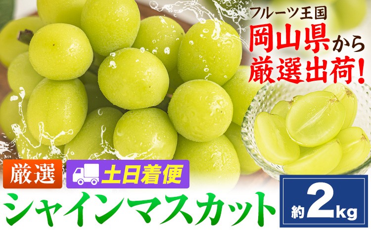 
                  【土日着便】シャインマスカット 約2kg(3-5房)【配送不可地域あり(離島)】《2026年9月上旬-11月上旬頃出荷》岡山県 笠岡市 シャインマスカット 厳選 ぶどう ブドウ 葡萄 マスカット 果物 フルーツ ギフト
                