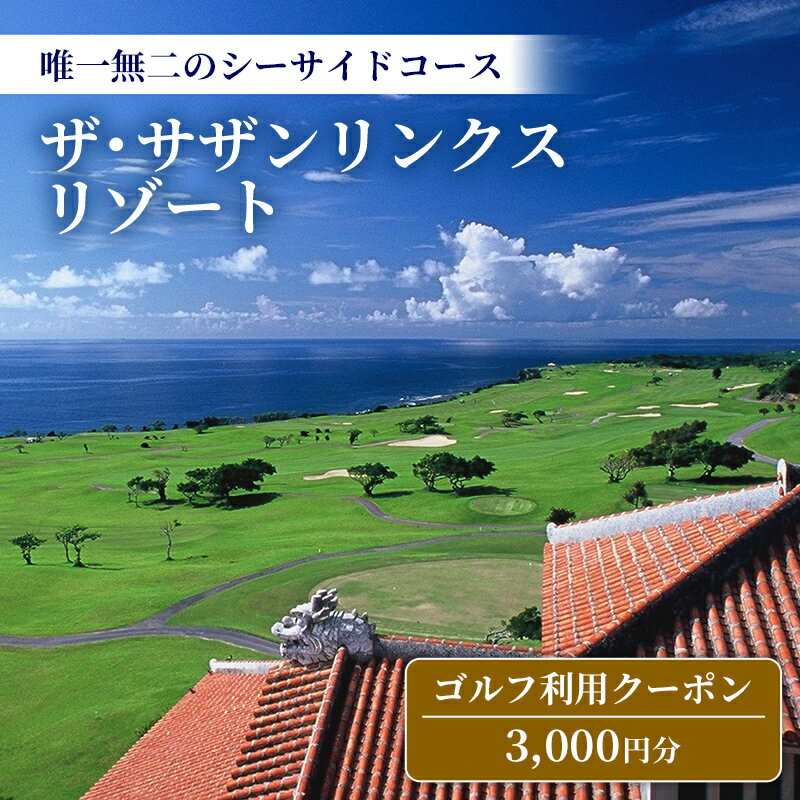 【ふるさと納税】【ザ・サザンリンクスリゾート】ゴルフ利用クーポン3,000円分 - 旅行 沖縄旅行 リゾートゴルフ 利用券 ゴルフ場利用券 リゾート クーポン券 沖縄県 八重瀬町