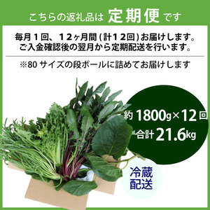 【爬虫類用】【定期便12回】 季節の葉っぱ詰め合わせ セット 約 1.8kg 80サイズ ( 定期便 12カ月 草食 雑食 爬虫類 動物 ペットフード ペット リクガメ カメ イグアナ ごはん ご飯 
