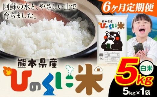 【6ヶ月定期便】 白米 ひのくに米 5kg 《お申込み月の翌月から出荷開始》 食品 米 こめ コメ 熊本県産 ふるさと納税 お米 おこめ 熊本