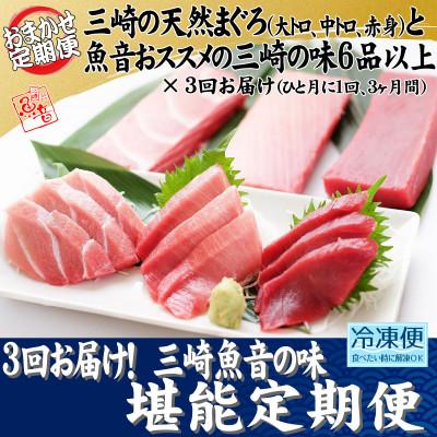 ふるさと納税 三浦市 【毎月定期便】3回お届け!三崎魚音の味堪能定期便全3回