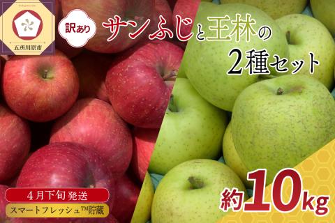 りんご 【2026年4月下旬発送】【訳あり】 約10kg春のサンふじ王林スマートフレッシュTM貯蔵