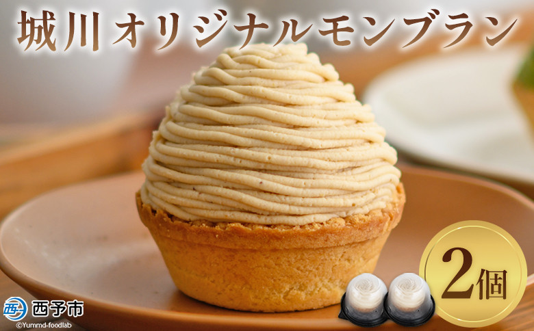 
＜城川オリジナルモンブラン 2個入り＞ 栗 スイーツ マロン 洋菓子 おかし ケーキ くり お試し 和栗ペースト クリーム 渋皮煮 スポンジ チーズアパレイユ タルト メニークエスト 愛媛県 西予市【冷凍】
