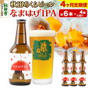 【ふるさと納税】《定期便4ヶ月》【秋田の地ビール】秋田あくらビール なまはげIPA 6本セット(330ml×計6本)