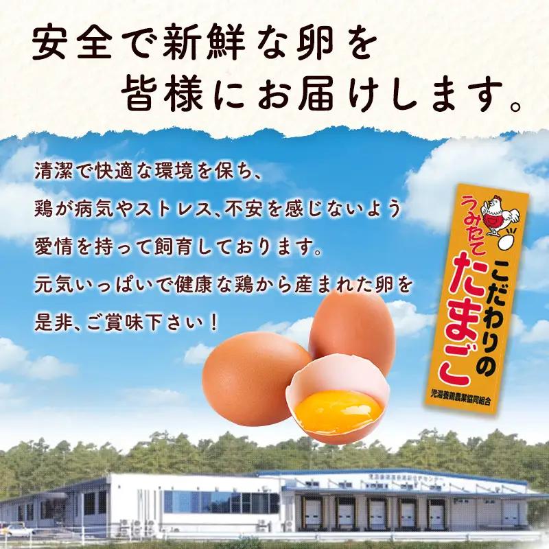 11月開始 児湯養鶏自慢の卵 ネッカリッチ赤たまご「児湯一番」 計480個 （20個入×2箱）×12か月定期便【E19-2611】