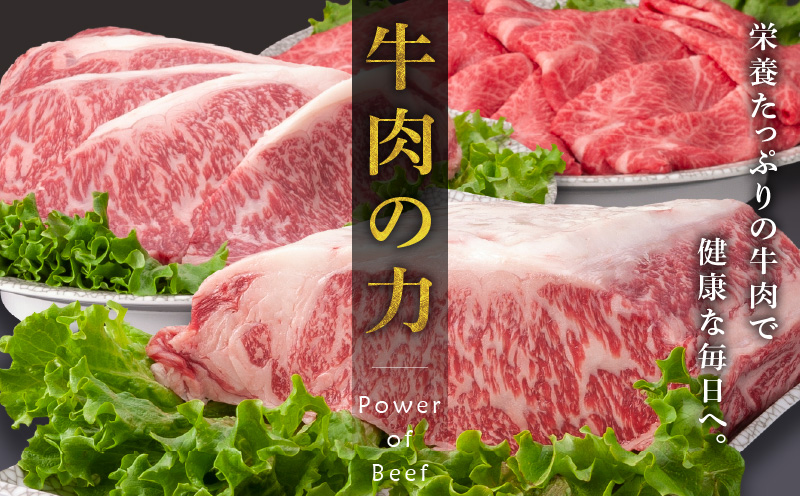 宮崎牛 モモ or ウデ 赤身焼肉1kg_M299-003