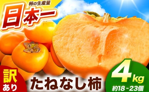 【令和7年発送 先行予約】 訳あり たねなし柿 約4kg （ 18～23個 ) 大人気  | 種無し たねなし 柿 フルーツ 果物 くだもの カキ かき 農家直送 家庭用 フードロス 秋の味覚 旬 大小混合 奈良県 五條市 まろやか 食べやすい 種なし やさしい 甘さ 大容量 こだわり 産地直送 10月 秋 旬 自宅用 グルメ お取り寄せ 送料無料 高評価 わけあり 訳アリ 株式会社柳澤果樹園