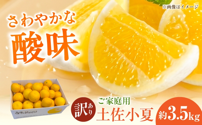 
                  【先行予約】【訳あり】 土佐小夏 ご家庭用 約3.5kg〈2027年5月下旬～2027年6月下旬頃発送〉小夏 こなつ 柑橘 高知 フルーツ 日向夏 お取り寄せ 訳あり 先行予約 高知県 土佐市【白木果樹園】[BQAI033]
                