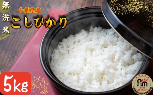 令和7年産 無洗米 コシヒカリ 5kg 千葉県産こしひかり 米 白米 お米 おこめ ご飯 ごはん コシヒカリ 国産 千葉県産 お弁当 おにぎり 朝食 昼食 夕食 お取り寄せ グルメ 食品 災害 防災 ギフト 贈り物 贈答 プレゼント ふるさと納税 ふるさと納税米 送料無料 千葉県 銚子市 根本商店