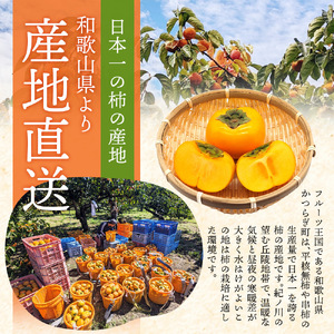 【訳あり・ご家庭用】たねなし柿「渋あり」約訳あり 7kg【9月下旬～11月上旬頃順次発送】【CD-wann004】