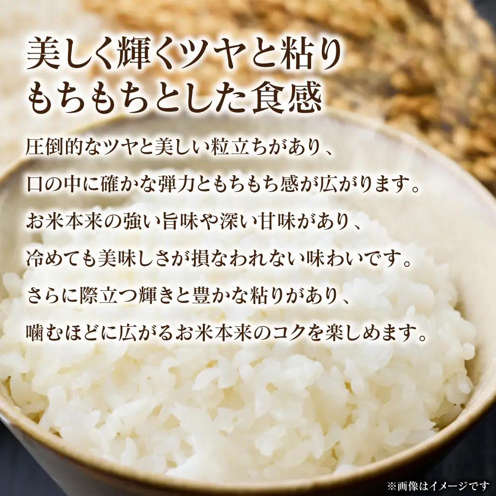 精米 《令和7年産》 くまさんの輝き 5kg×1袋  精米