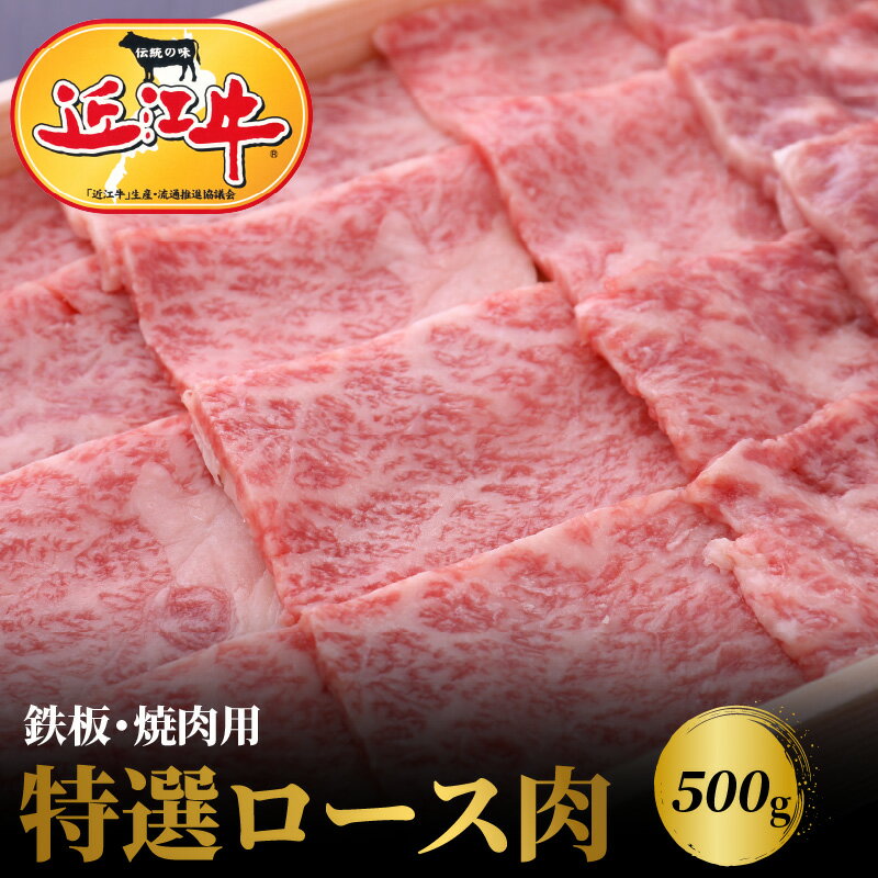 【ふるさと納税】【冷蔵でお届け可】 近江牛 焼肉用 特選 ロース 肉 500g 牛肉 霜降り 一頭買い 香り 味わい 歯ごたえ 柔らか とろける サシ ギフト 贈答 お土産 手土産 冷蔵 日時指定 お取り寄せ グルメ バーベキュー BBQ パーティー お取り寄せ グルメ 送料無料