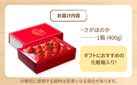 【先行予約】【農家直送】（化粧箱入り）白石産いちご「さがほのか」400g /甘いいちご 化粧箱入りいちご イチゴ 苺  佐賀県産いちご ブランドいちご さがほのか 少ない酸味のいちご 上品な甘さのいち
