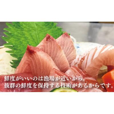 ふるさと納税 福井市 大将におまかせ!朝どれサクどり鮮魚2〜3人前 【4月〜10月発送】 |  | 02