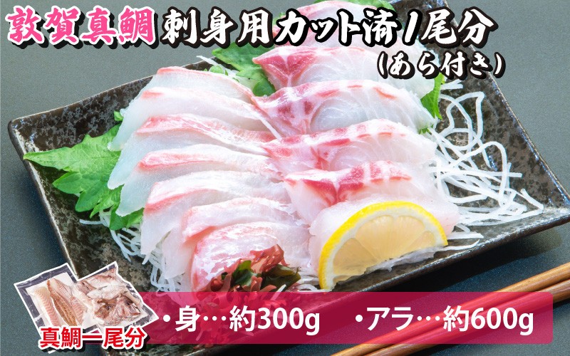 
[041-a006] マダイ 敦賀真鯛 お造りセット【海鮮 冷凍 刺身 しゃぶしゃぶ 南蛮漬け 煮つけ 塩焼き 炊き込み】
